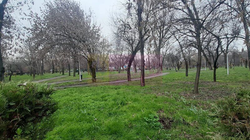 Apartament 2 camere Parcul Tineretului